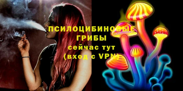 спиды Алексеевка