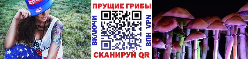 Псилоцибиновые грибы ЛСД  Нефтекумск 